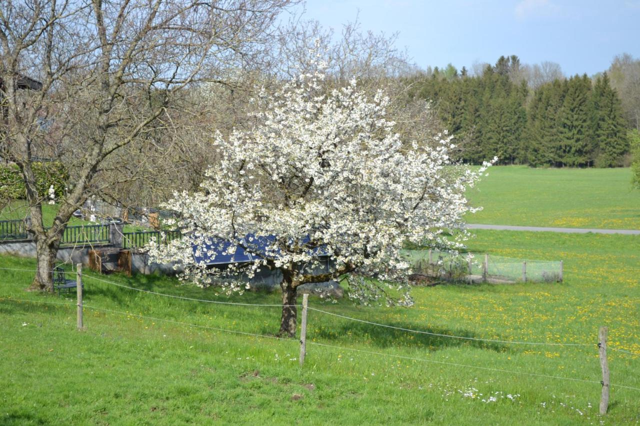 Biohof Auinger, Der Tiererlebnishof Apartment Aurach am Hongar Luaran gambar