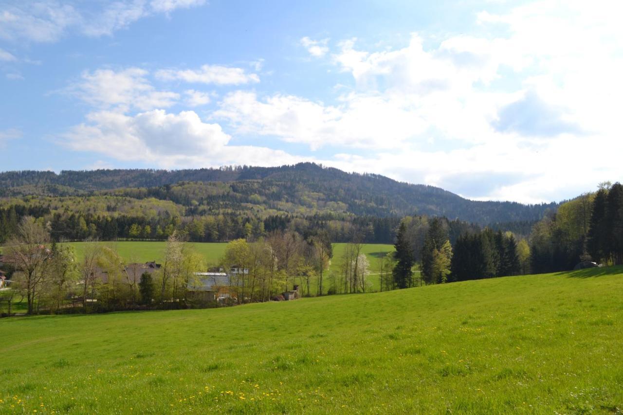 Biohof Auinger, Der Tiererlebnishof Apartment Aurach am Hongar Luaran gambar