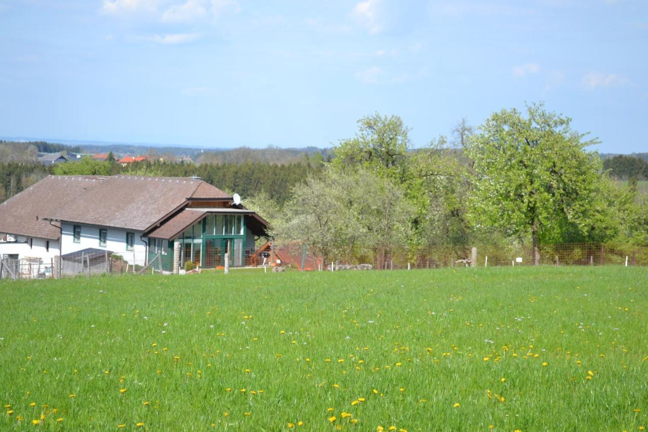Biohof Auinger, Der Tiererlebnishof Apartment Aurach am Hongar Luaran gambar