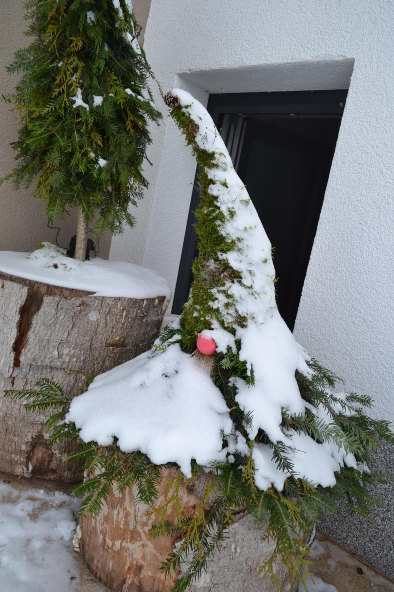 Biohof Auinger, Der Tiererlebnishof Apartment Aurach am Hongar Luaran gambar
